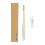 Dental Kit