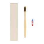 Dental Kit